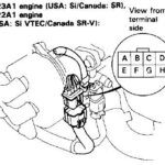 OBD1 Prelude Distributor