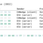 Requesting multiple PIDs in one request